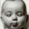 Brandis