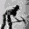 Druckpilz baut