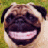 Chris_